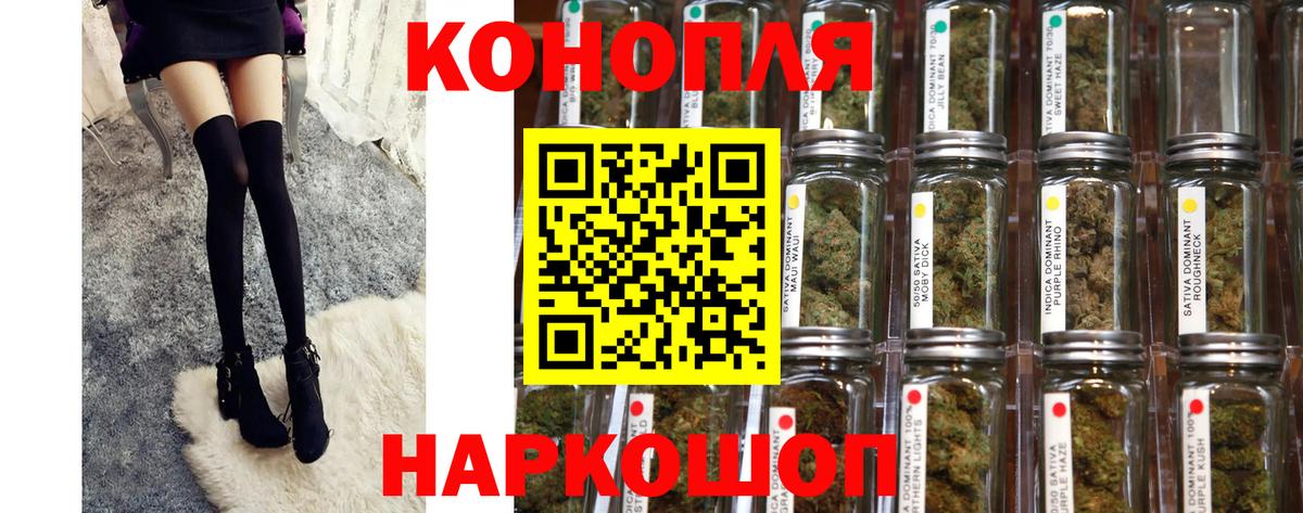 Горячий Ключ  Бошки Шишки White Widow  Бошки Шишки семена  Канабис семена  Вход с VPN 